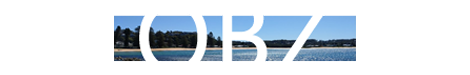 Social OBZ Logo