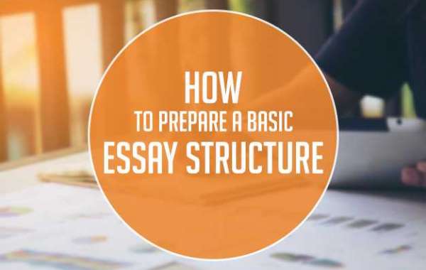 Three Things to Include in An Essay Structure