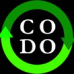 Codo Girl Profile Picture