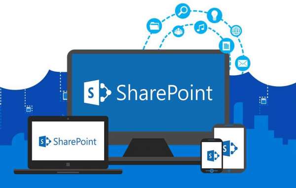 Sharepoint Consulting Companies - Binary Republik