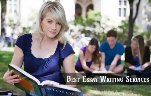 What are the various types of academic essays?