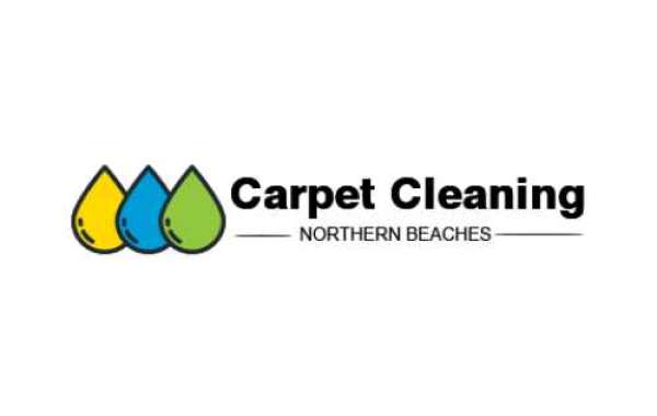 How to Save on Carpet Cleaning
