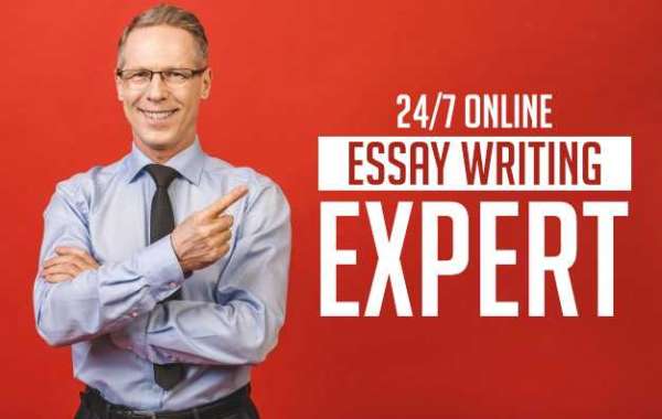 Beginners Guide To Write An Excellent Essay