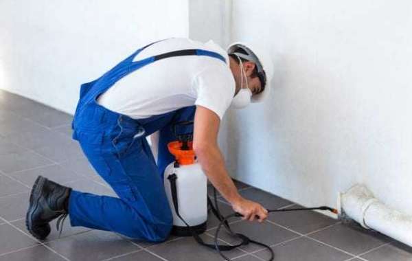 Pest Control Methods For Your Home