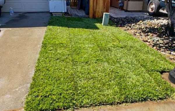Ten Tips for A Beautiful New Sod Installation  Lawn