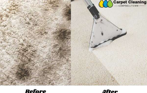 Which Cleaning Methods Are Used By A Professional Carpet Cleaner?