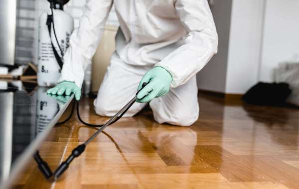 The different types of Pest Control Treatment