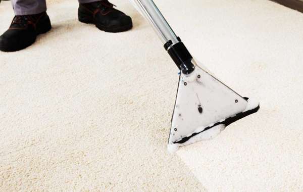 How To Know When It's Time For Professional Carpet Cleaning