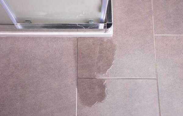 Clever Things To Do With A Leaking Shower Floor