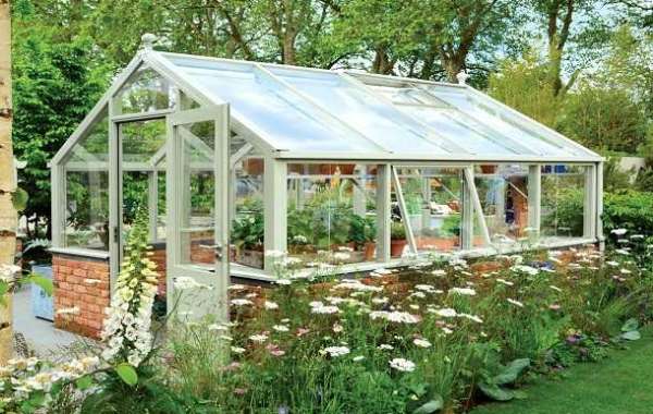 How to Find the Perfect Greenhouse for Sale for Your Home?