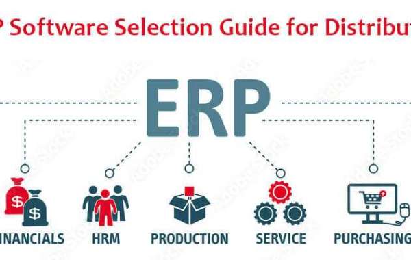 What Is Distributor ERP?