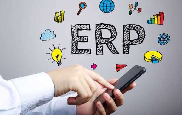 ERP Software Development in Malaysia