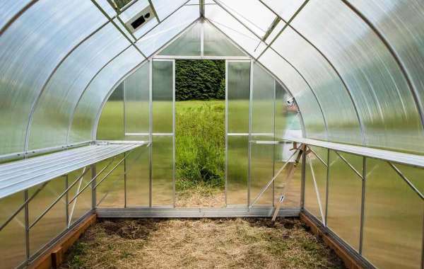 Everything You Need to Know Before You Buy a Greenhouse