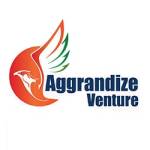 Aggrandize Venture Profile Picture
