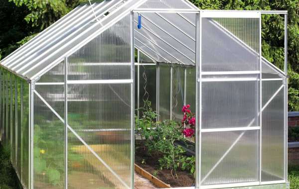Portable Greenhouse: What to Consider Before Buying One (6 Tips)